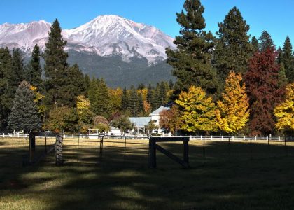 slot games riches in the rough