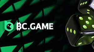 BC Game Payment Options A Comprehensive Guide