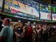 mma betting odds