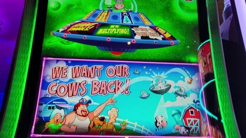 reptile riches slot for money